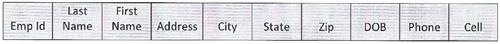 Example Staff Directory 